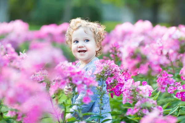 Ragazza riccia nel campo — Foto Stock