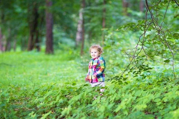 Sonbahar bir parkta oynarken küçük kız — Stok fotoğraf