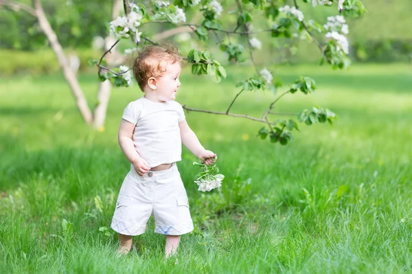 Girl walking in an apple tree garden — Stock Photo, Image
