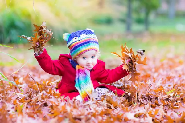 Toddler girl playing in an autumn park — Stock Photo, Image