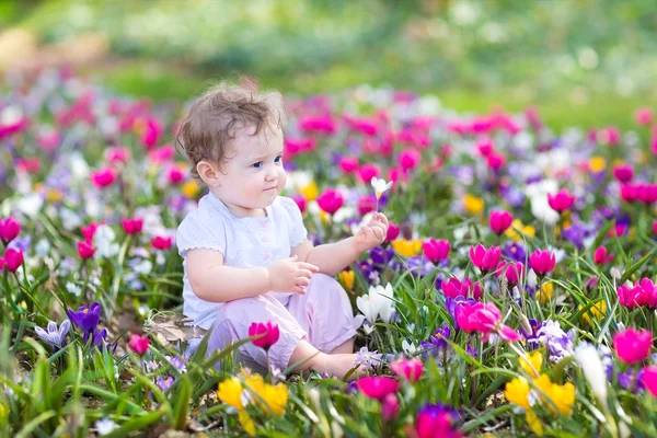 Bebê sentado entre flores da primavera — Fotografia de Stock