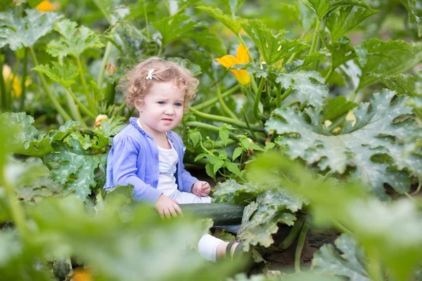 Fetiță care stă într-un câmp de fermă lângă o plantă de dovlecei — Fotografie, imagine de stoc