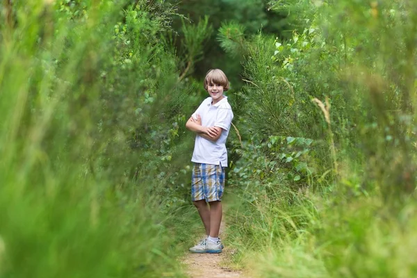 Chico senderismo en el bosque en verano — Foto de Stock