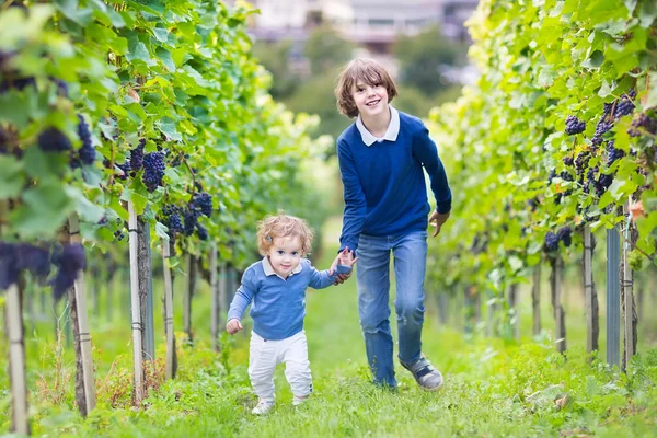 Boy and his baby sister running together in a vine yard — Stock Photo, Image
