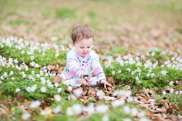 Bir bahçede oynarken sevimli bebeğim — Stok fotoğraf