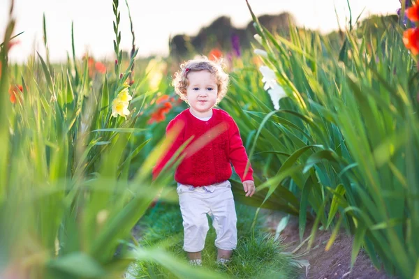 Kudrnatá holčička na farmě — Stock fotografie