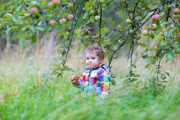 Baby pige spiser et æble - Stock-foto