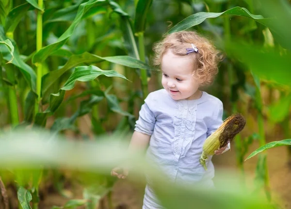 Дівчина грає на кукурудзяному полі — стокове фото