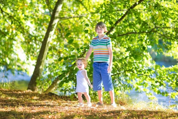 Boy holding his baby sister — Stock Photo, Image