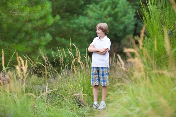 Menino caminhando na floresta no verão — Fotografia de Stock