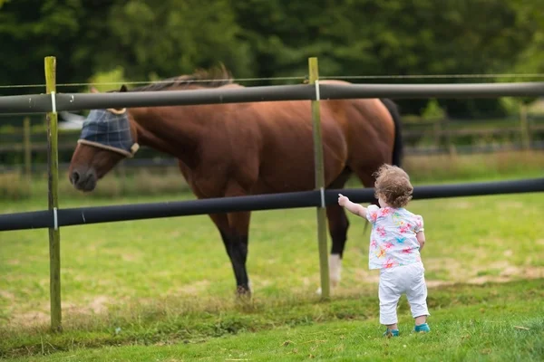 Baby flicka tittar på en häst — Stockfoto