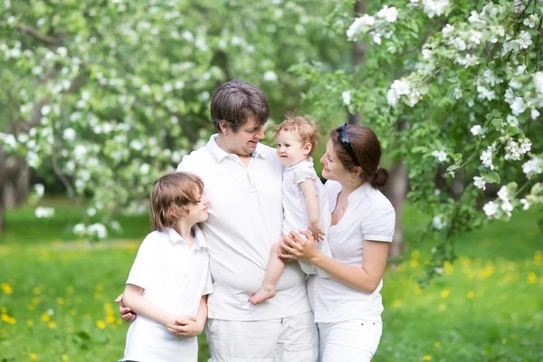 Familia en un jardín floreciente de manzanos — Foto de Stock