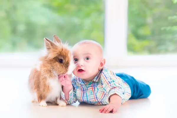 Baby spielt mit einem lustigen echten Hasen auf dem Boden — Stockfoto