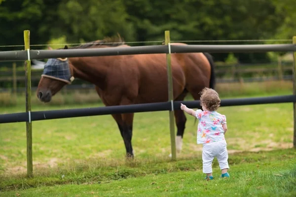 Bebê menina assistindo um cavalo — Fotografia de Stock