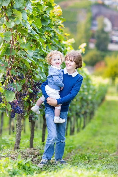 Cute happy boy and his adorable baby sister picking fresh grapes together — Stock Photo, Image