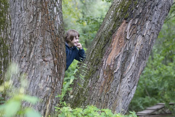 Boy in the trees — Stock Photo, Image