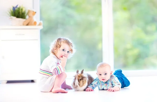 Petit bébé et sa petite sœur jouant avec un vrai lapin — Photo