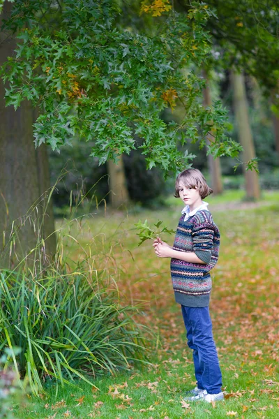 Bambino che raccoglie foglie colorate in un parco autunnale — Foto Stock
