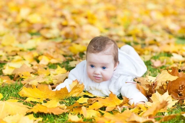 Menina bebê jogando em um parque de outono — Fotografia de Stock