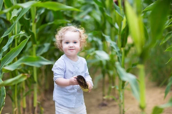 Dziewczyna gry i ukrywanie w polu kukurydzy — Zdjęcie stockowe