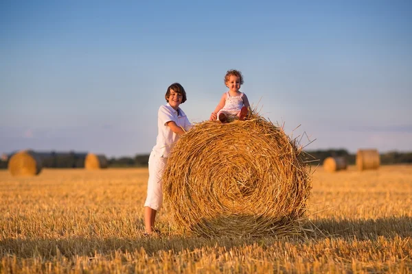 Broer en baby zus spelen in een veld — Stockfoto