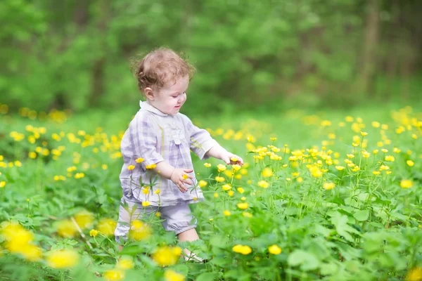 Sarı çiçekler ile oynayan kız bebek — Stok fotoğraf