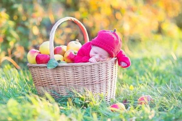 Nouveau-né dans un grand panier avec des pommes — Photo