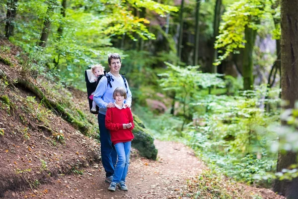 Caminhadas familiares jovens felizes em uma bela floresta de outono — Fotografia de Stock