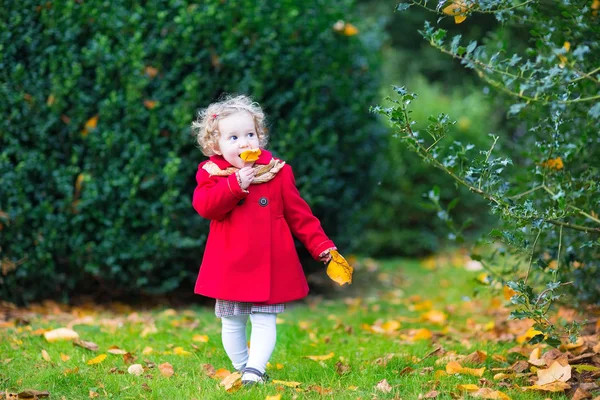 Toddler girl in a beautiful autumn park — Stock Photo, Image