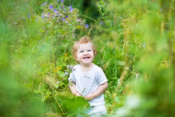 Bebê em um campo de verão verde — Fotografia de Stock