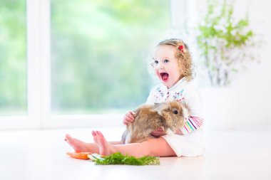 gerçek bir tavşan ile oynarken sevimli bebek kız