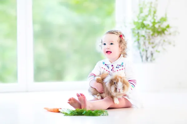 Schattig peuter meisje spelen met een echt konijn — Stockfoto