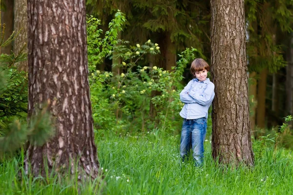 Little boy in a forest — Stock Photo, Image