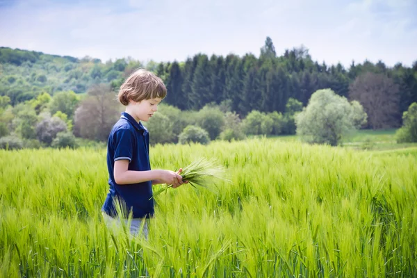 Menino brincando em um campo cênico — Fotografia de Stock