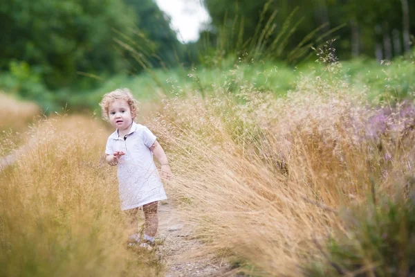 Yüksek otların arasında yürüyen kız bebek — Stok fotoğraf