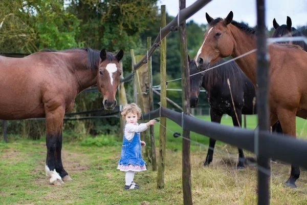 Menina bebê brincando com cavalos em uma fazenda no outono — Fotografia de Stock