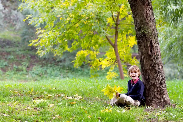 Niño sentado bajo un colorido árbol de otoño — Foto de Stock