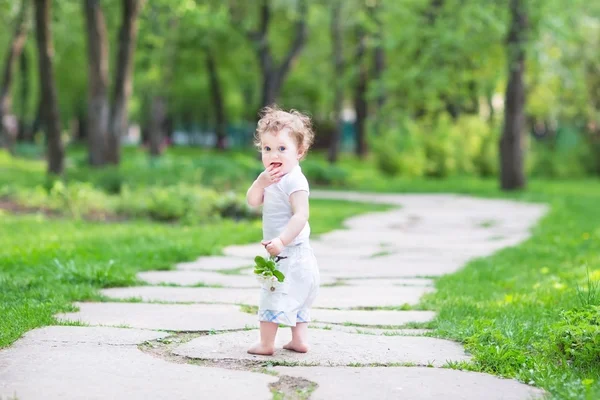 Girl walking in a beautiful summer garden — Stock Photo, Image