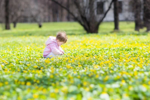 Bébé fille jouer avec des fleurs jaunes — Photo