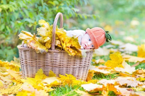 Novorozeně v košíku — Stock fotografie