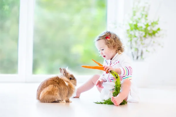 Gerçek bir tavşan ile oynarken sevimli bebek kız — Stok fotoğraf