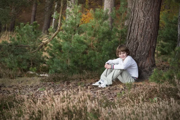 Маленький мальчик в сосновом лесу — стоковое фото