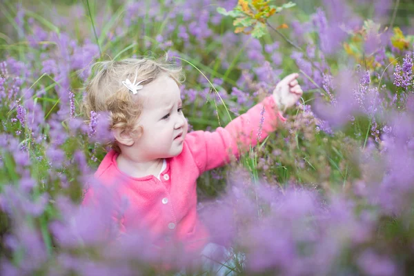 Baby girl walking in purple autumn flowers — Stock Photo, Image