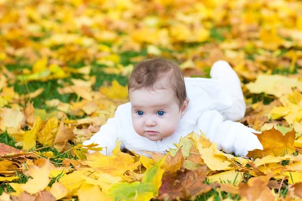 Baby flicka som leker i en park på hösten — Stockfoto