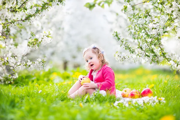 Linda niña comiendo manzana en un jardín floreciente — Foto de Stock