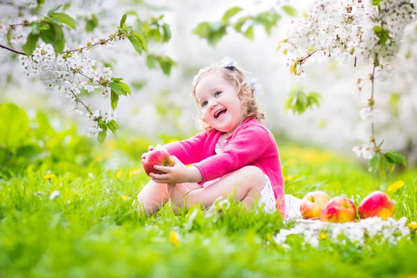 Cute toddler girl eating apple in a blooming garden — Stock Photo, Image