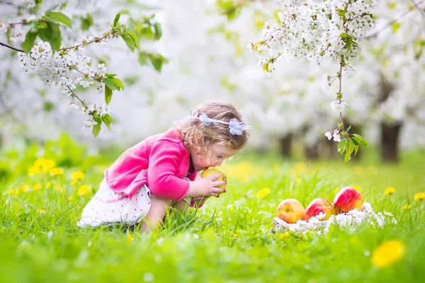 Şirin Bebek kız yeme elma bir çiçek bahçesinde — Stok fotoğraf