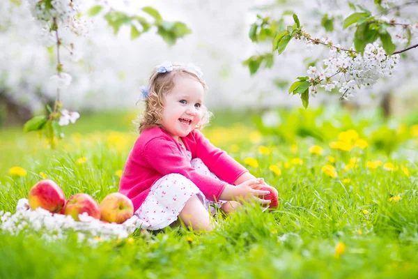 Linda niña comiendo manzana en un jardín floreciente —  Fotos de Stock