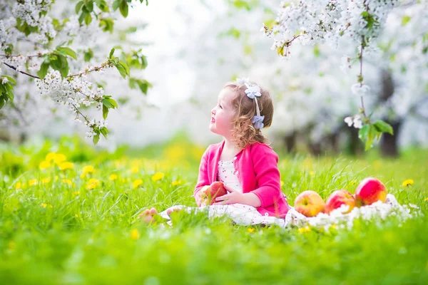 Roztomilé batole dívka jablko v rozkvetlé zahradě — Stock fotografie