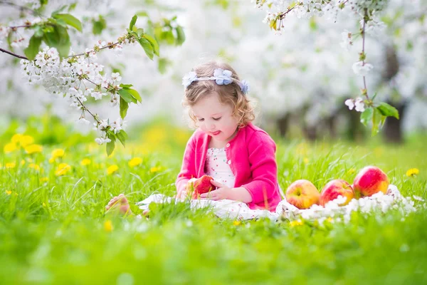 Niedliches Kleinkind isst Apfel in einem blühenden Garten — Stockfoto